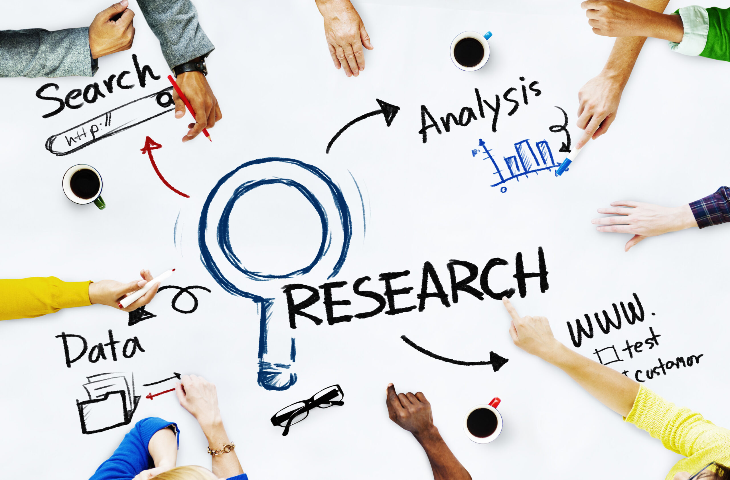 Fanal Solutions researcher conducting fieldwork